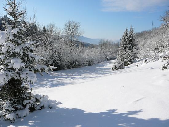 La longeaille et Macretet