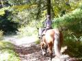 petit bonhomme sur grand cheval