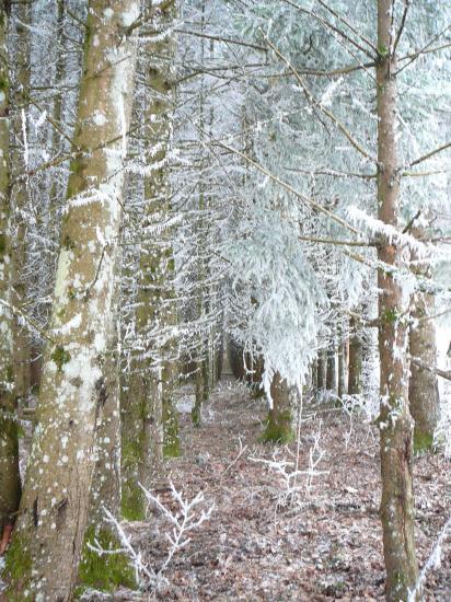givre