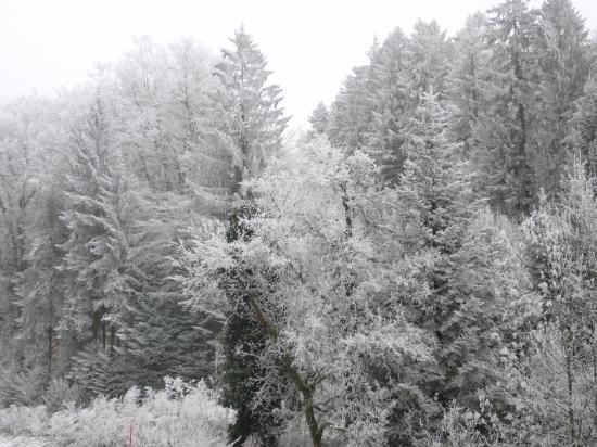 givre