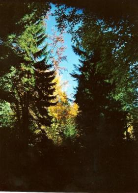 automne
